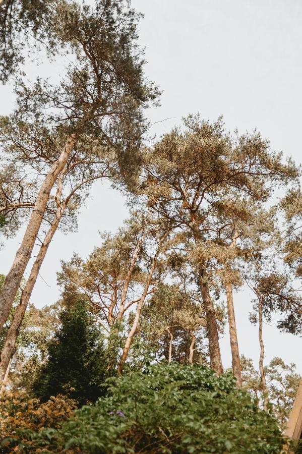Boshuisje Rekem - Luka Lanaken Exteriör bild
